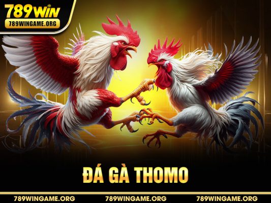Đá Gà Thomo – Luật Chơi, Kinh Nghiệm & Bí Quyết Cá Cược Tại 789WIN