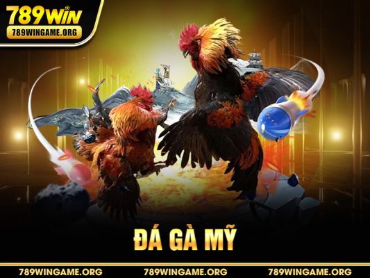 Đá gà Mỹ là hình thức thi đấu giữa những chiến kê thuộc giống gà Mỹ